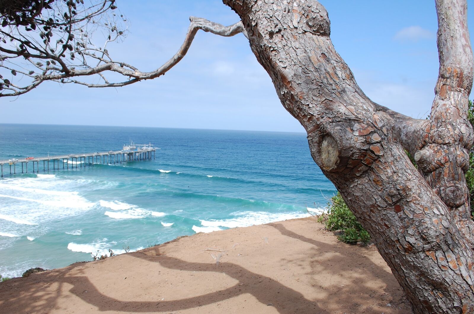 Nikon D40 sample photo. La jolla, san diego photography