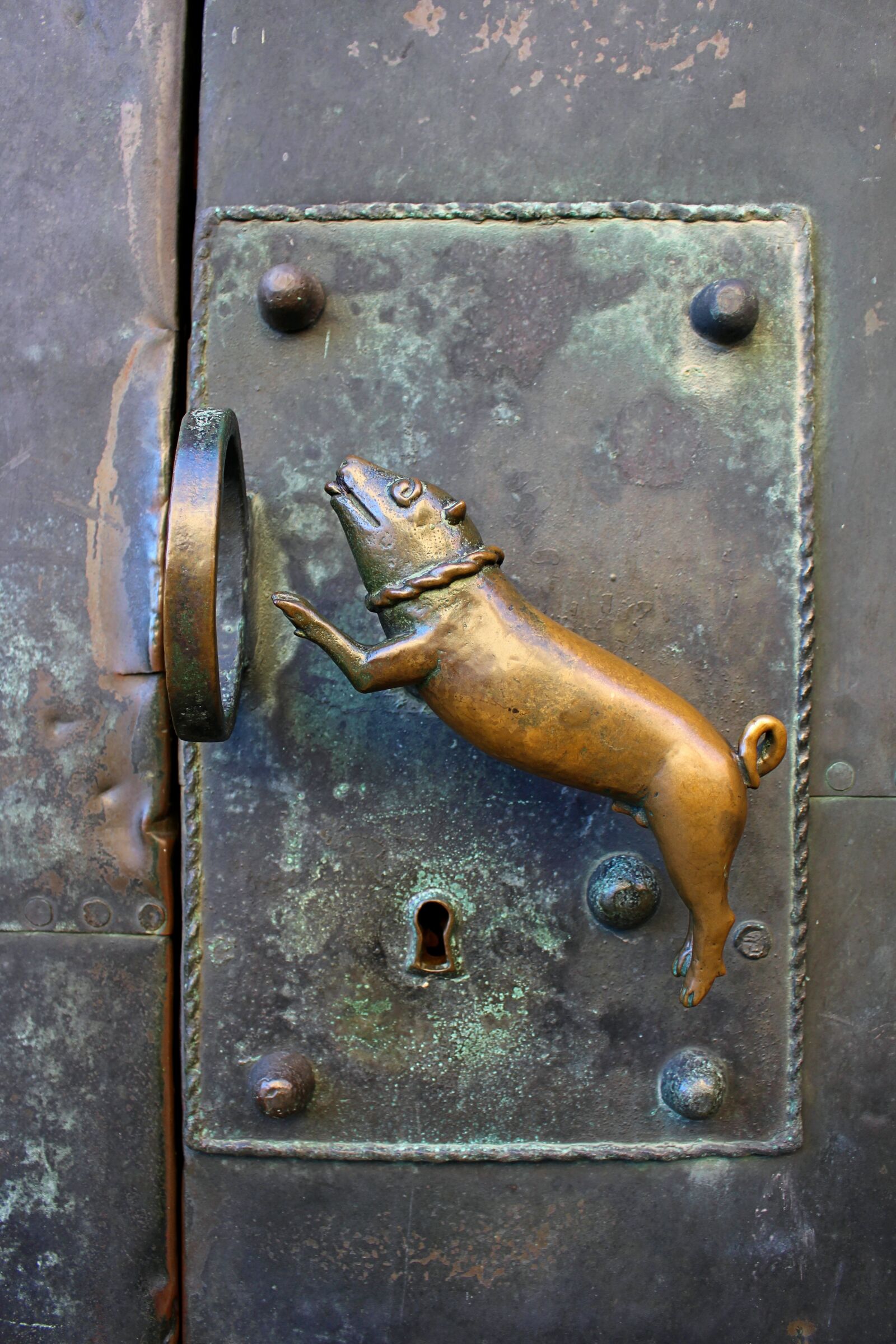Canon EOS 700D (EOS Rebel T5i / EOS Kiss X7i) sample photo. Door handle, jack, metal photography