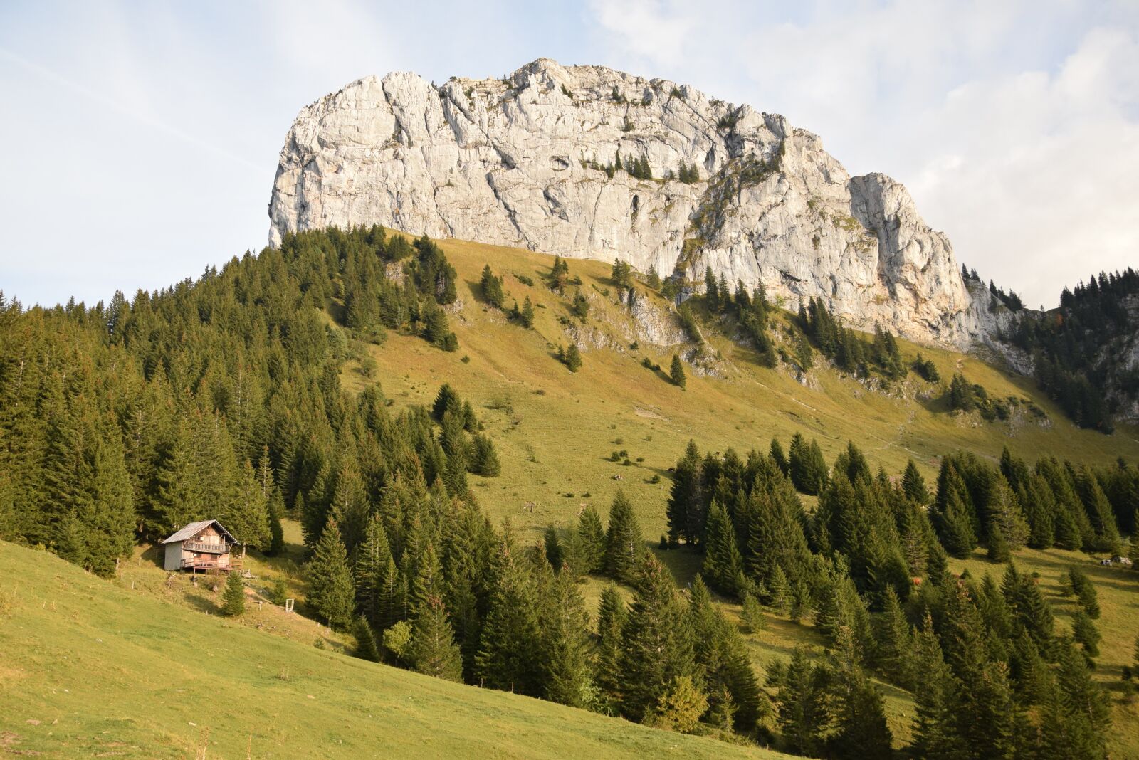 Nikon D5300 sample photo. Chalet, mountain, meadow photography