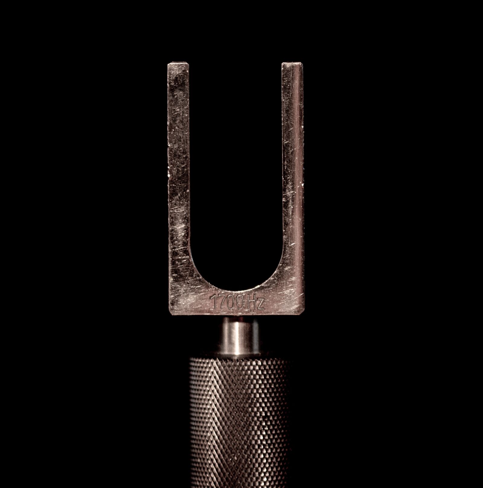 Nikon D5600 sample photo. Tuning fork, music, leybold photography
