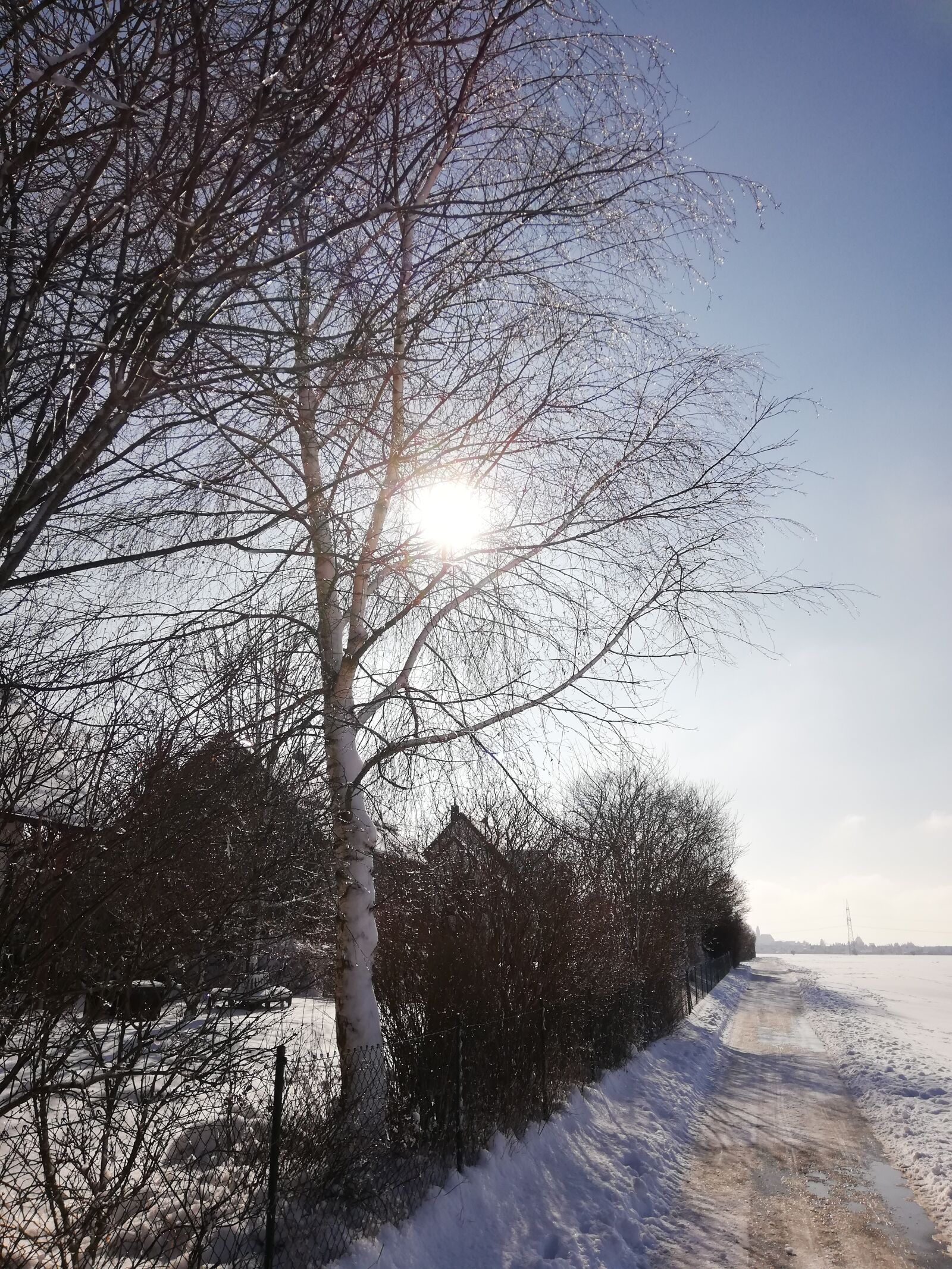 HUAWEI P20 lite sample photo. Winter, sun, nature photography