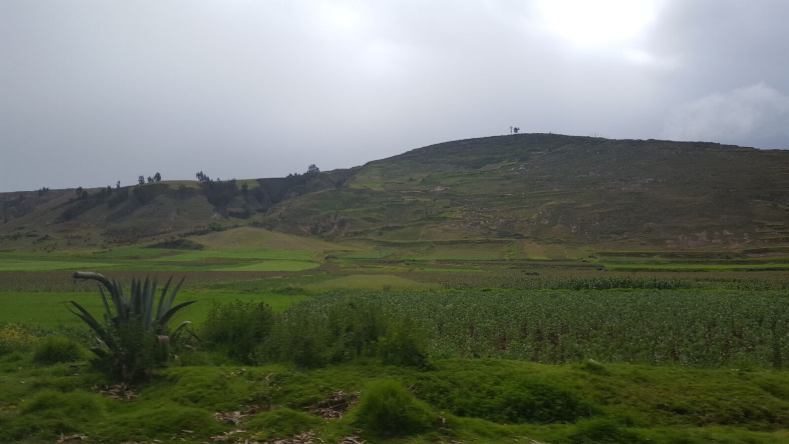 Samsung GALAXY S6 edge sample photo. Campo, verde, cielo photography