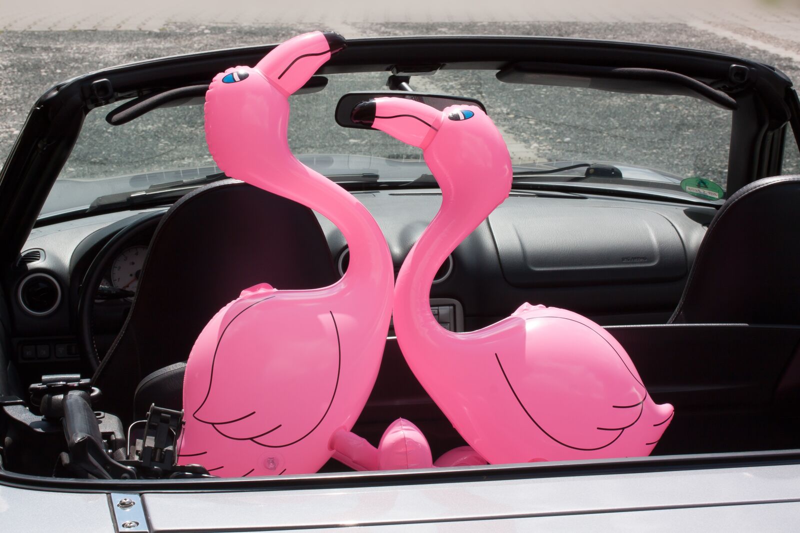 Canon EOS 50D sample photo. Flamingo, inflatable, pink photography