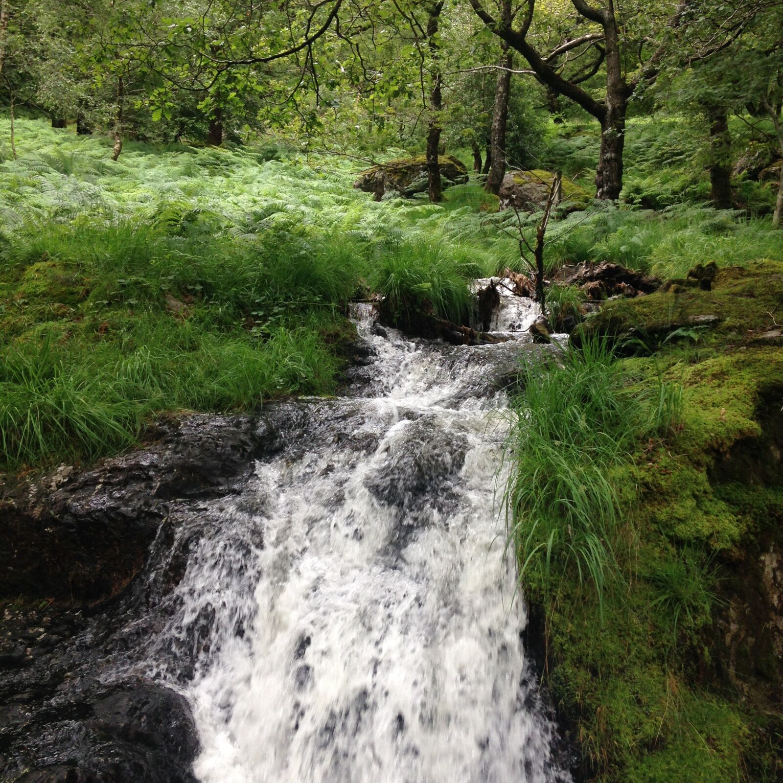 Apple iPhone 5c sample photo. Beautiful, rural, waterfall photography