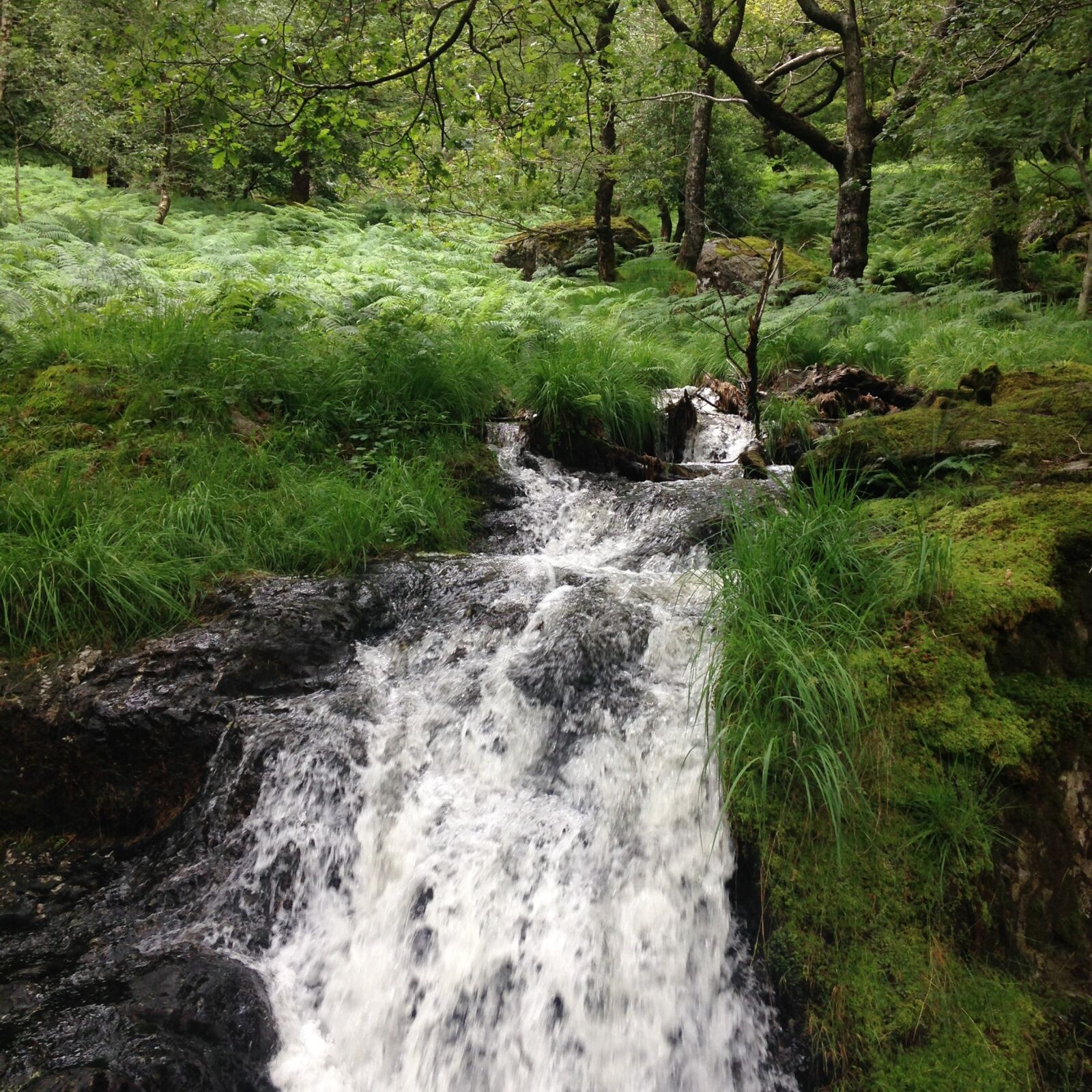 iPhone 5c back camera 4.12mm f/2.4 sample photo. Beautiful, rural, waterfall photography