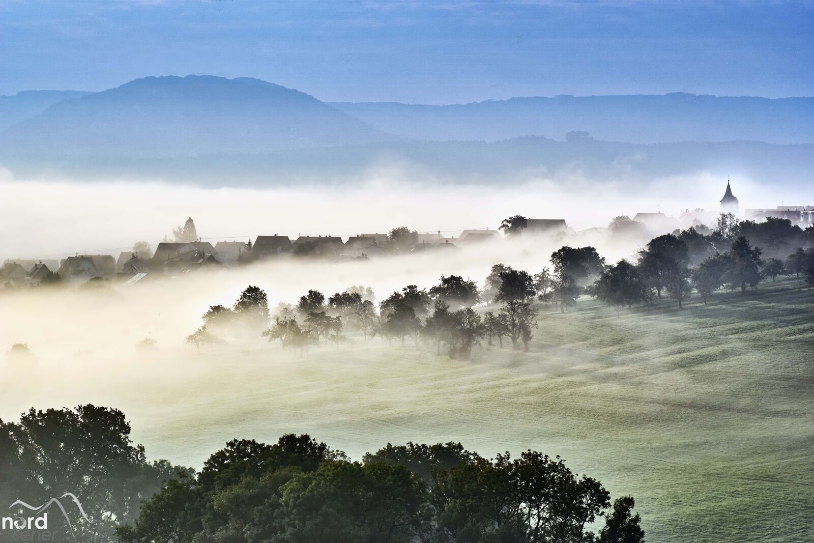 Sony ILCA-77M2 sample photo. Alb, swabia, fog photography