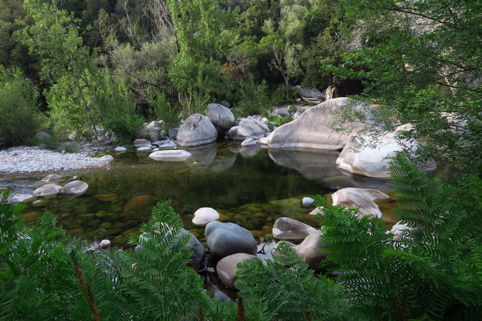 Canon PowerShot G7 X sample photo. River, forest, nature photography