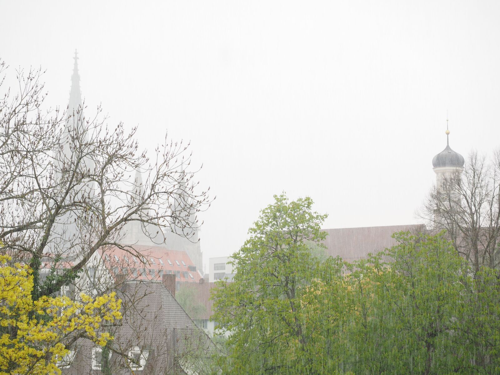 Olympus OM-D E-M1 + Olympus M.Zuiko Digital ED 12-40mm F2.8 Pro sample photo. Rainy weather, ulm, rain photography