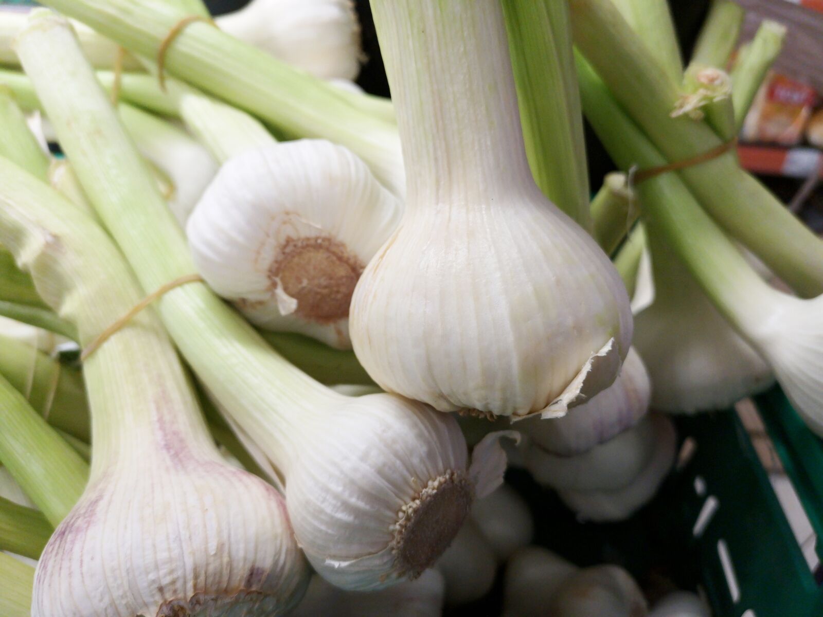 HUAWEI CLT-L09 sample photo. Onion, fresh, vegetable photography