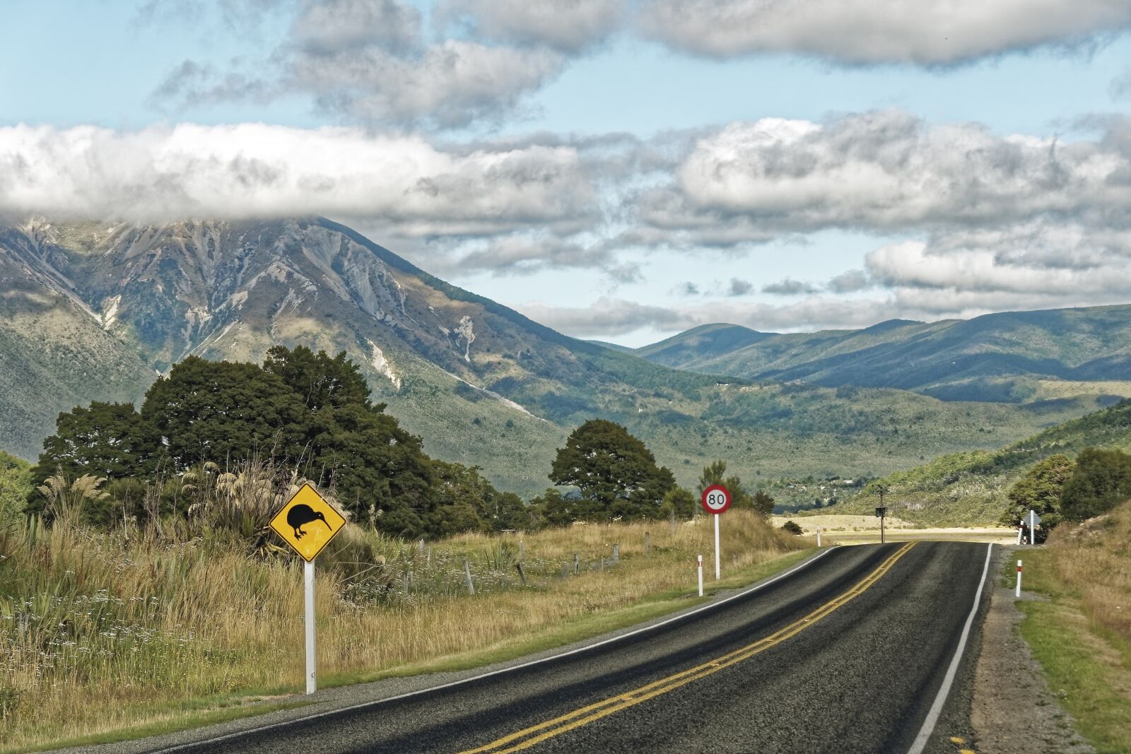 Nikon D500 sample photo. New zealand, mount richmond photography