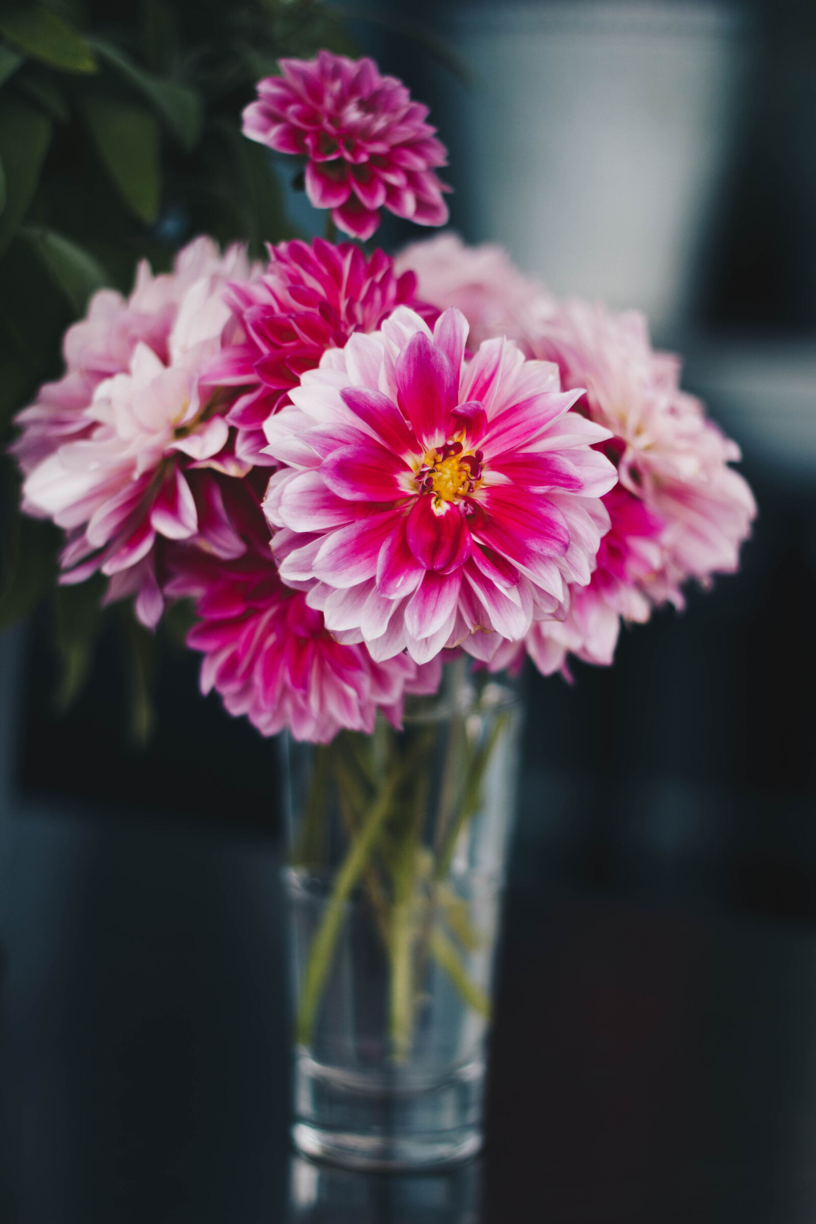 Canon EOS 600D (Rebel EOS T3i / EOS Kiss X5) + Canon EF 50mm F1.8 II sample photo. Pink, flowers, on, the photography