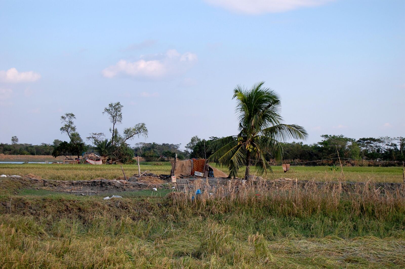 Nikon D40 sample photo. Rural village, upazila, patuakhali photography