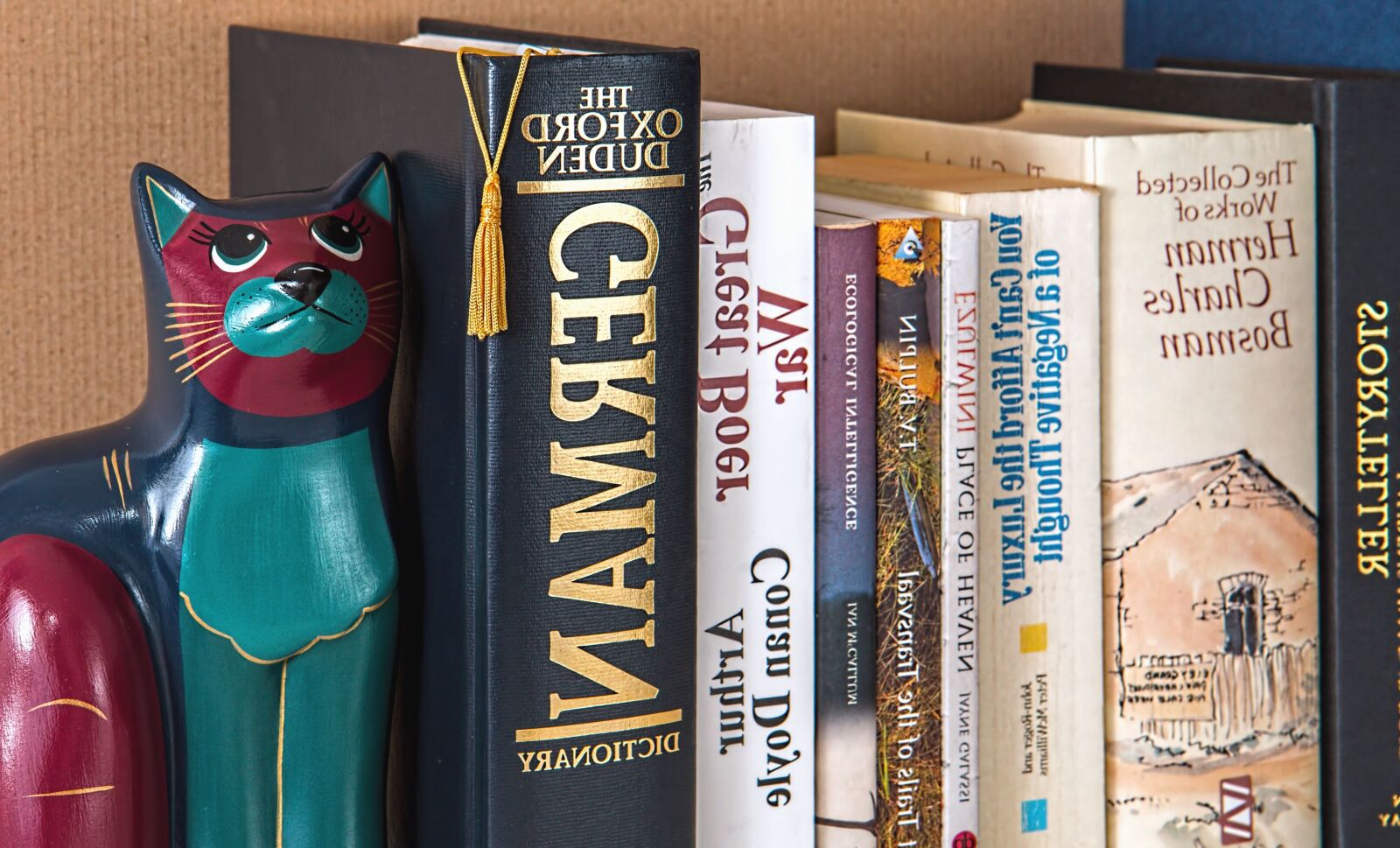 Canon EOS 70D sample photo. Collection, book, shelf, learning photography