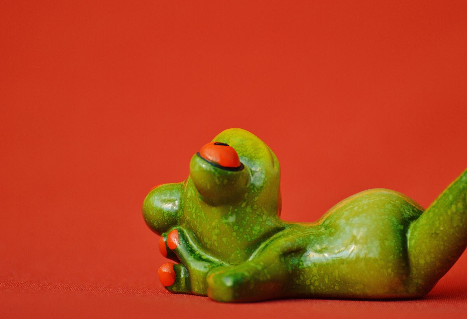 Nikon D3200 sample photo. Frog, lying, relaxed photography