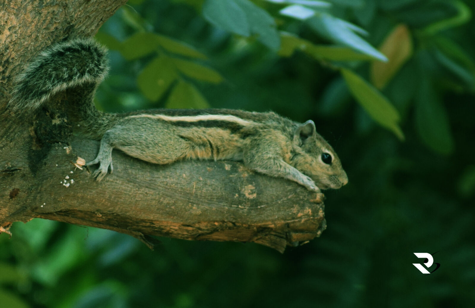 Nikon D3300 sample photo