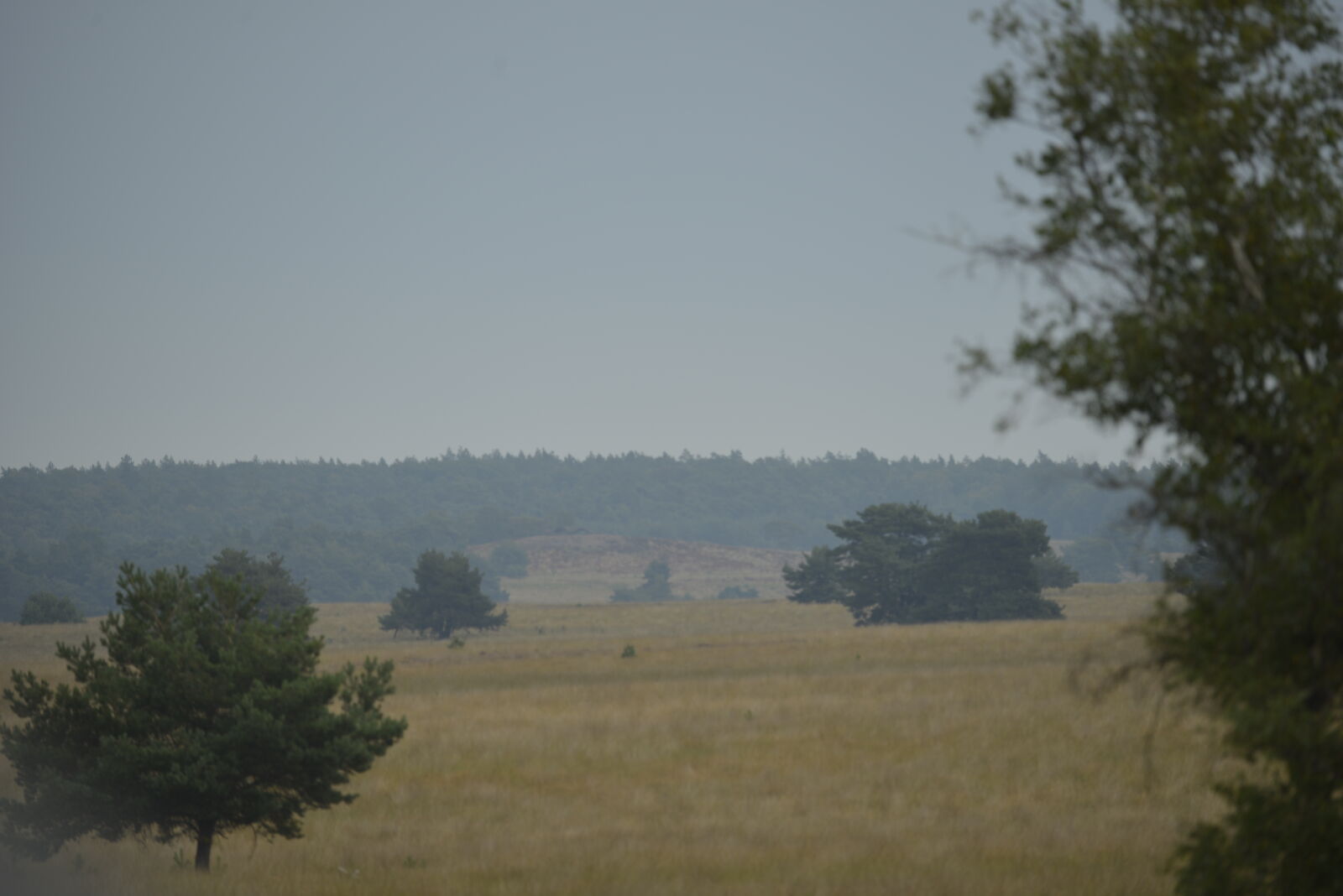 Nikon D800 sample photo
