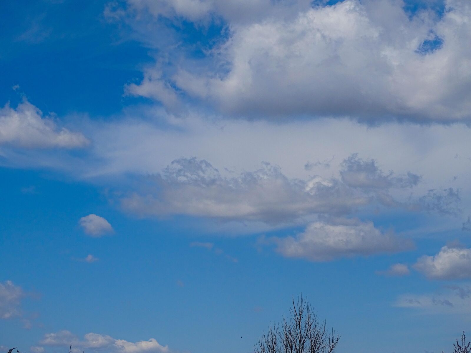 Sony Cyber-shot DSC-HX400V sample photo. Background, beautiful, beauty photography