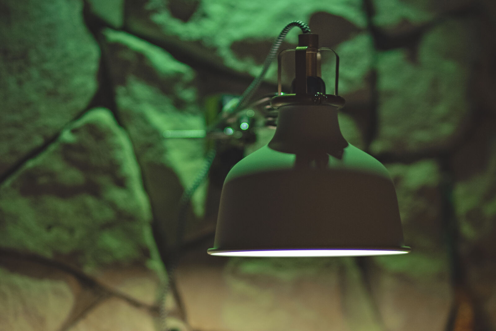 Canon EF 85mm F1.8 USM sample photo. Close, up, lamp, light photography