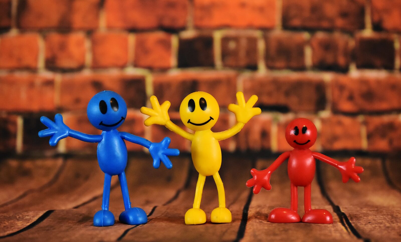 Nikon D7200 sample photo. Smilies, males, colorful photography