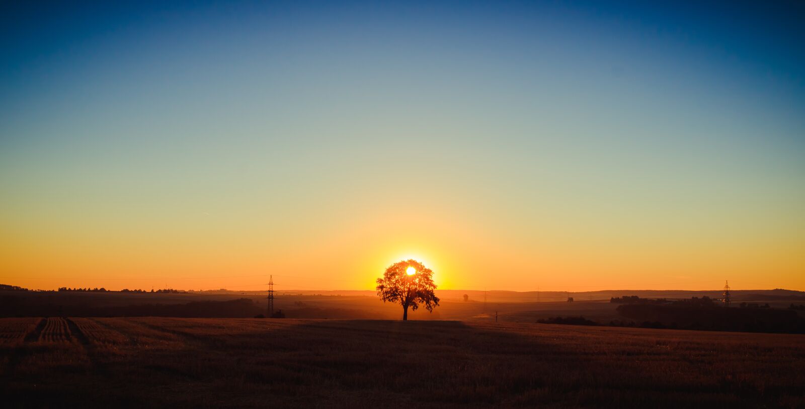 Canon EOS 750D (EOS Rebel T6i / EOS Kiss X8i) sample photo. Landscape, tree, sunrise photography