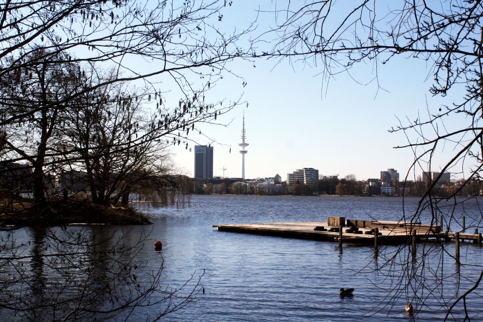 Canon EOS 1000D (EOS Digital Rebel XS / EOS Kiss F) sample photo. Alster lake shore, tv photography