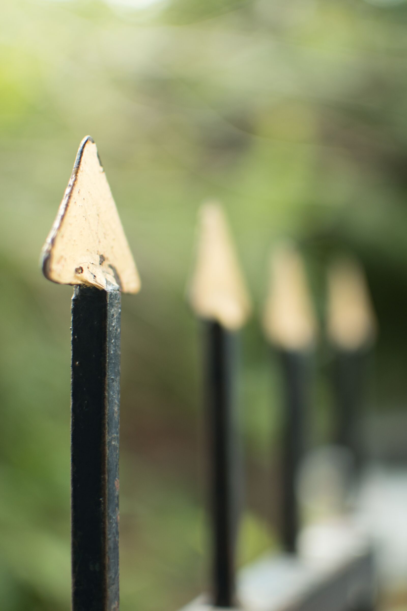 Nikon D5500 sample photo. Steel, fence, protect photography
