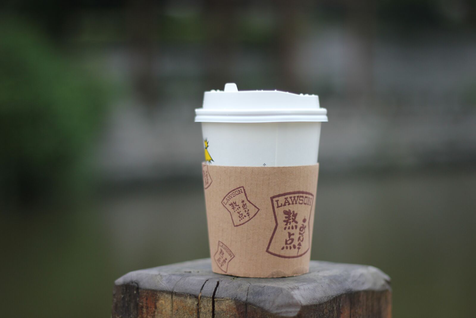 Canon EOS 550D (EOS Rebel T2i / EOS Kiss X4) sample photo. Life, soy milk, the photography