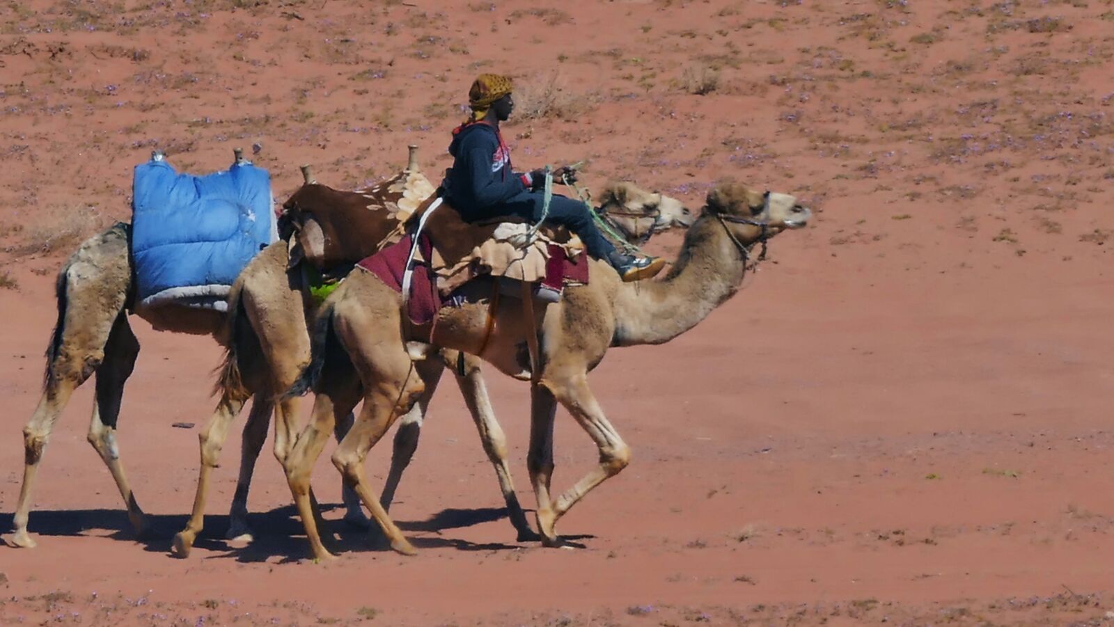 Panasonic Lumix DMC-FZ1000 sample photo. Wadirum, agaba, desert photography