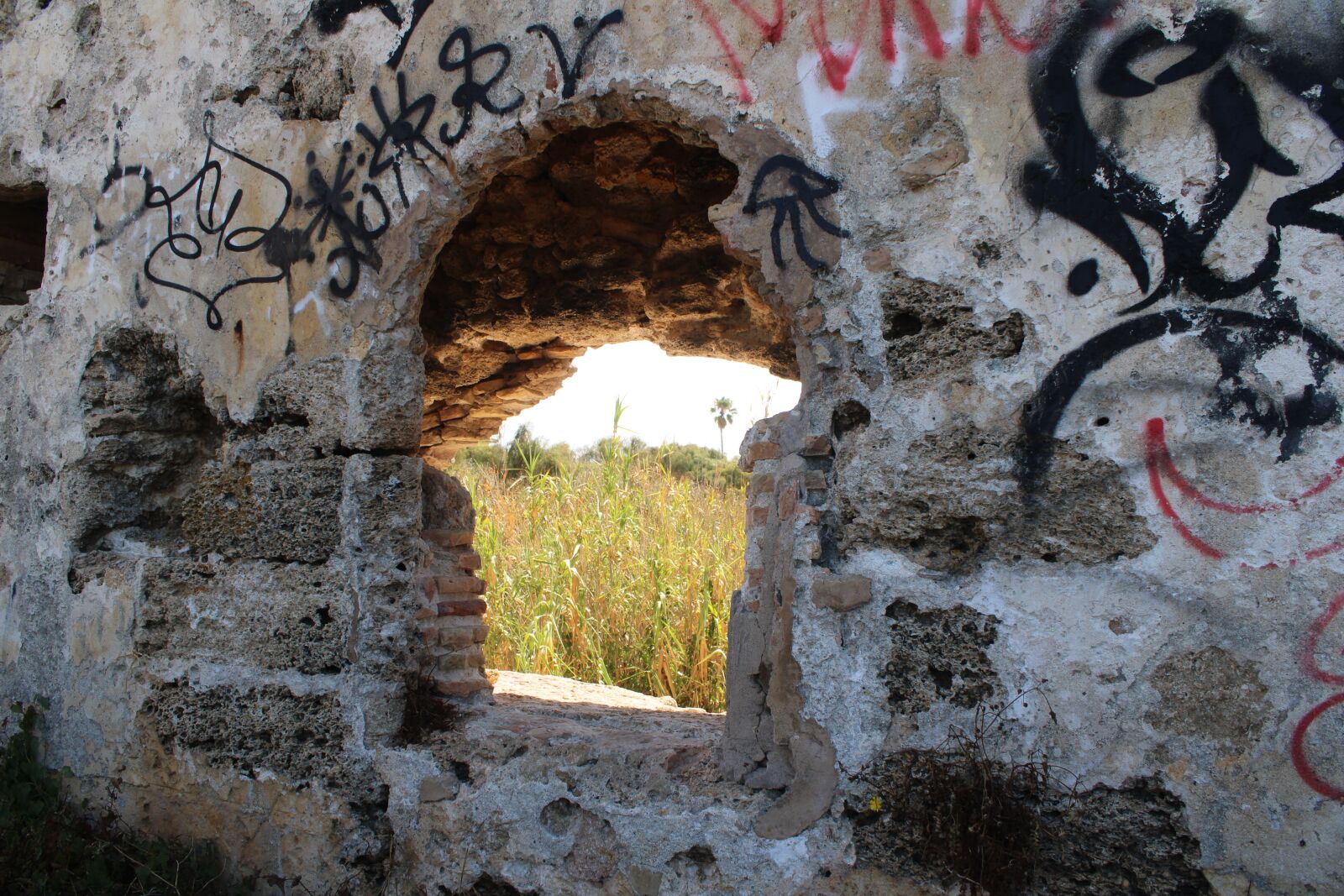 Canon EOS 2000D (EOS Rebel T7 / EOS Kiss X90 / EOS 1500D) sample photo. Fort of santa catalina photography