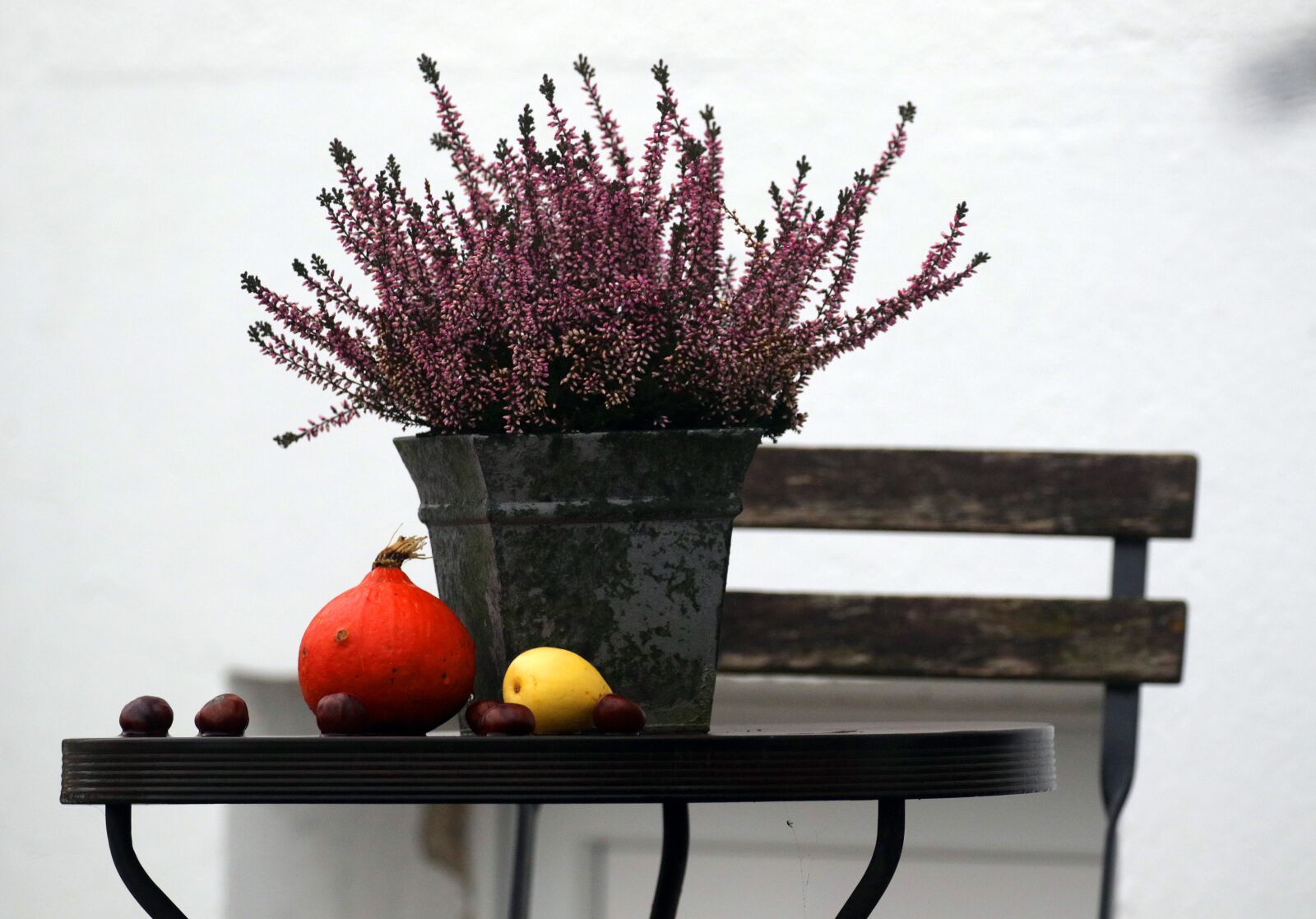 Canon EOS 7D Mark II sample photo. Autumn, pumpkin, deco photography