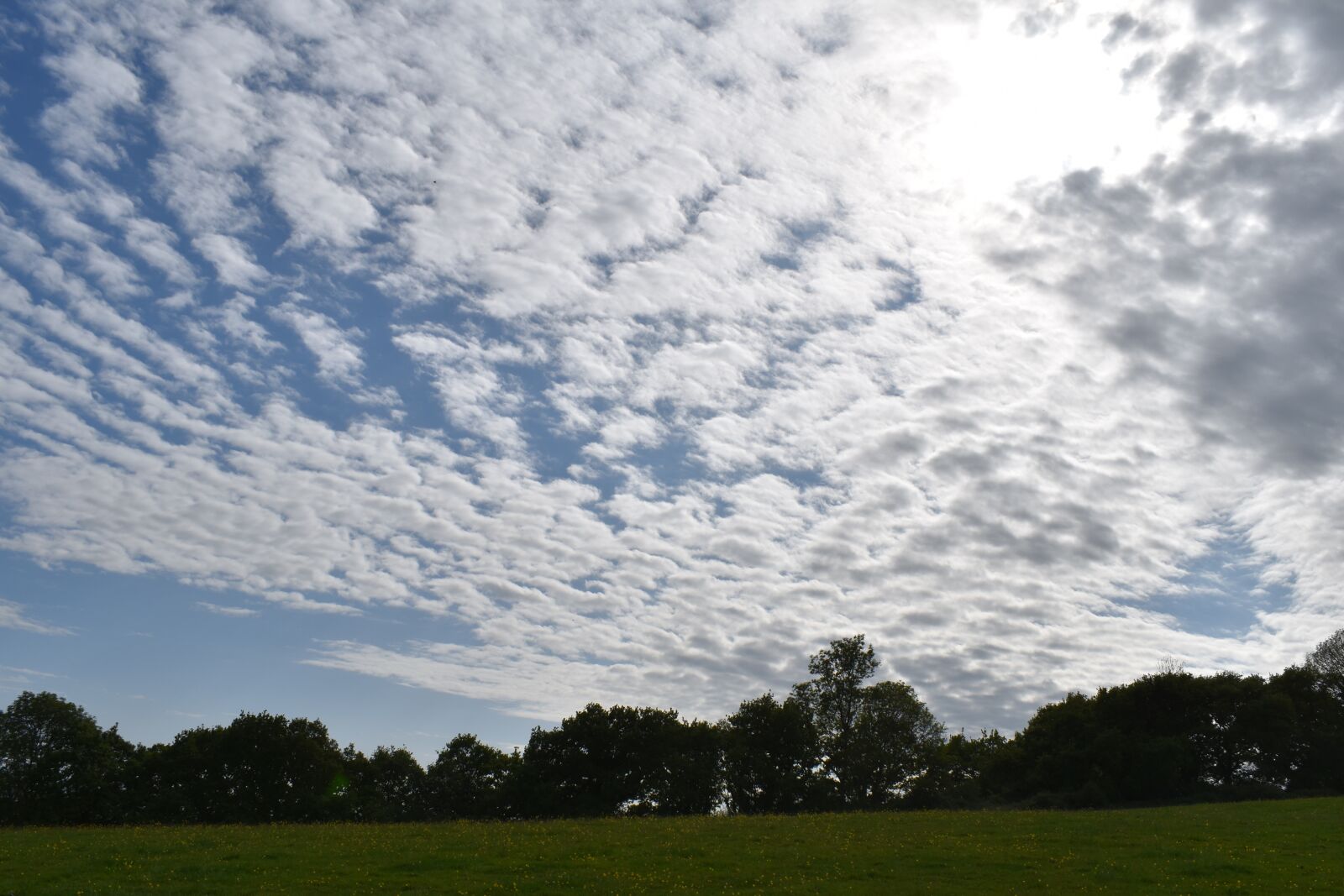 Nikon D3500 sample photo. Sky, clouds, nature photography