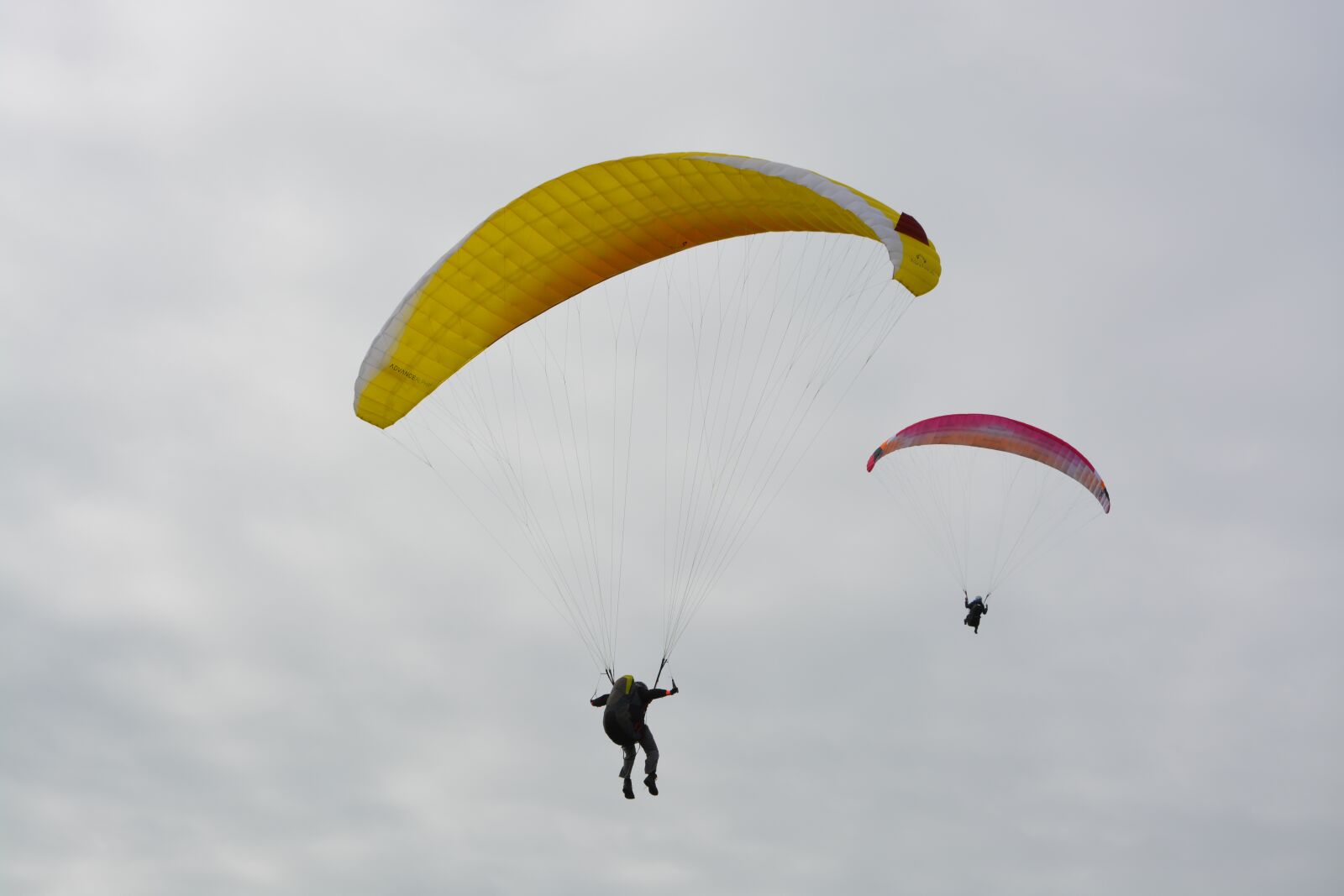 Nikon D5200 sample photo. Paragliders, sails, wings paragliding photography