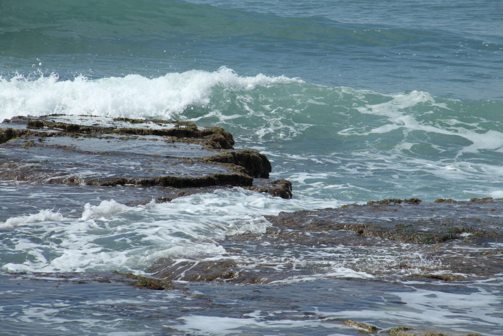 Canon EOS 50D sample photo. Seashore, haifa, israel photography