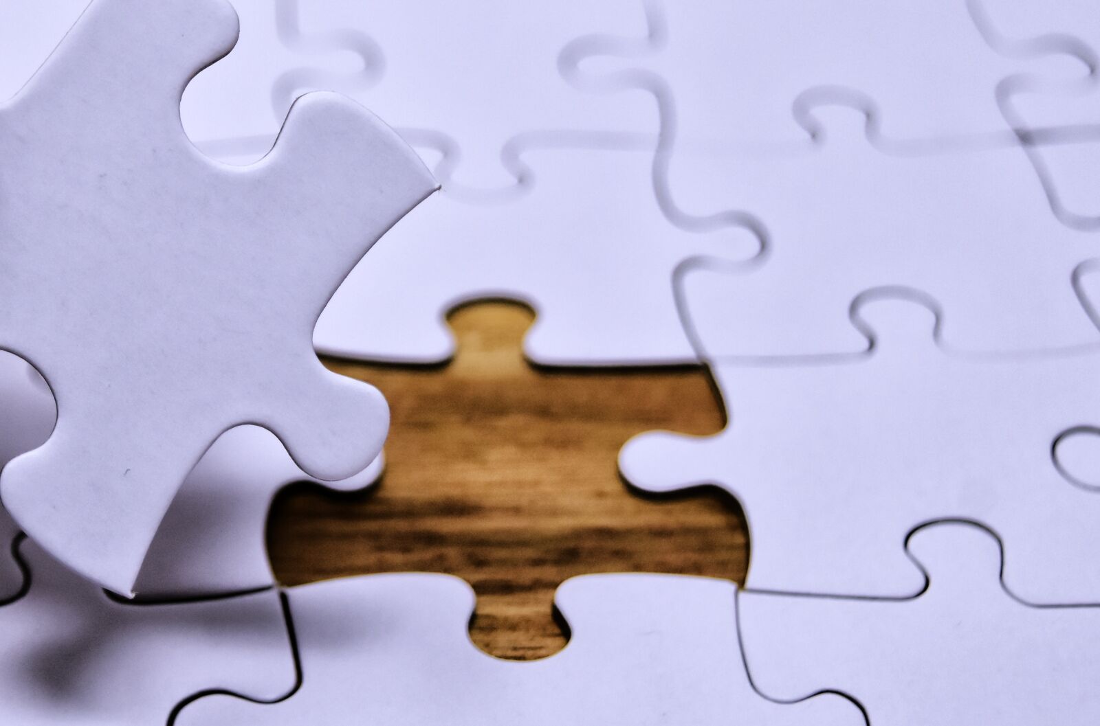 Nikon D7200 sample photo. Puzzle, joining together, insert photography