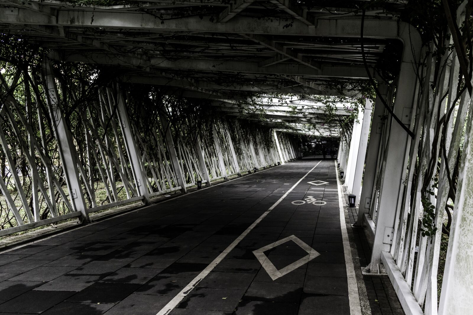 Nikon D5500 sample photo. Transportation system, subway system photography