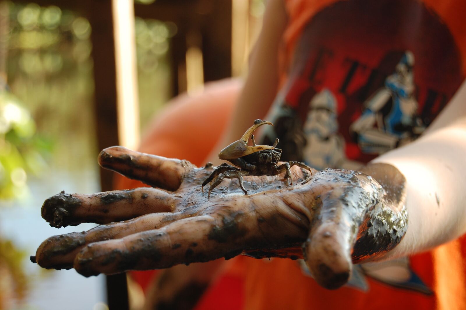 Nikon D40 sample photo. Crab, mangue, hand photography