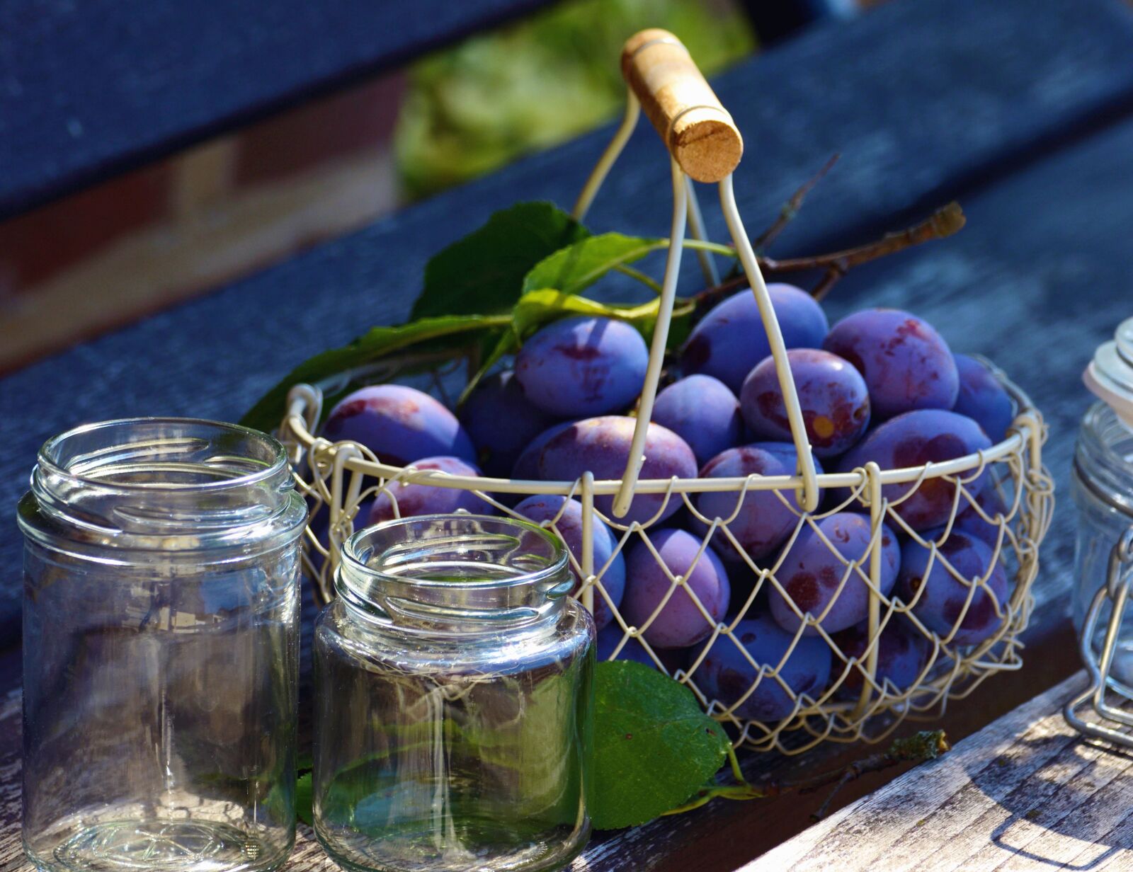 Nikon D5200 sample photo. Plum, fruit, basket, metal photography