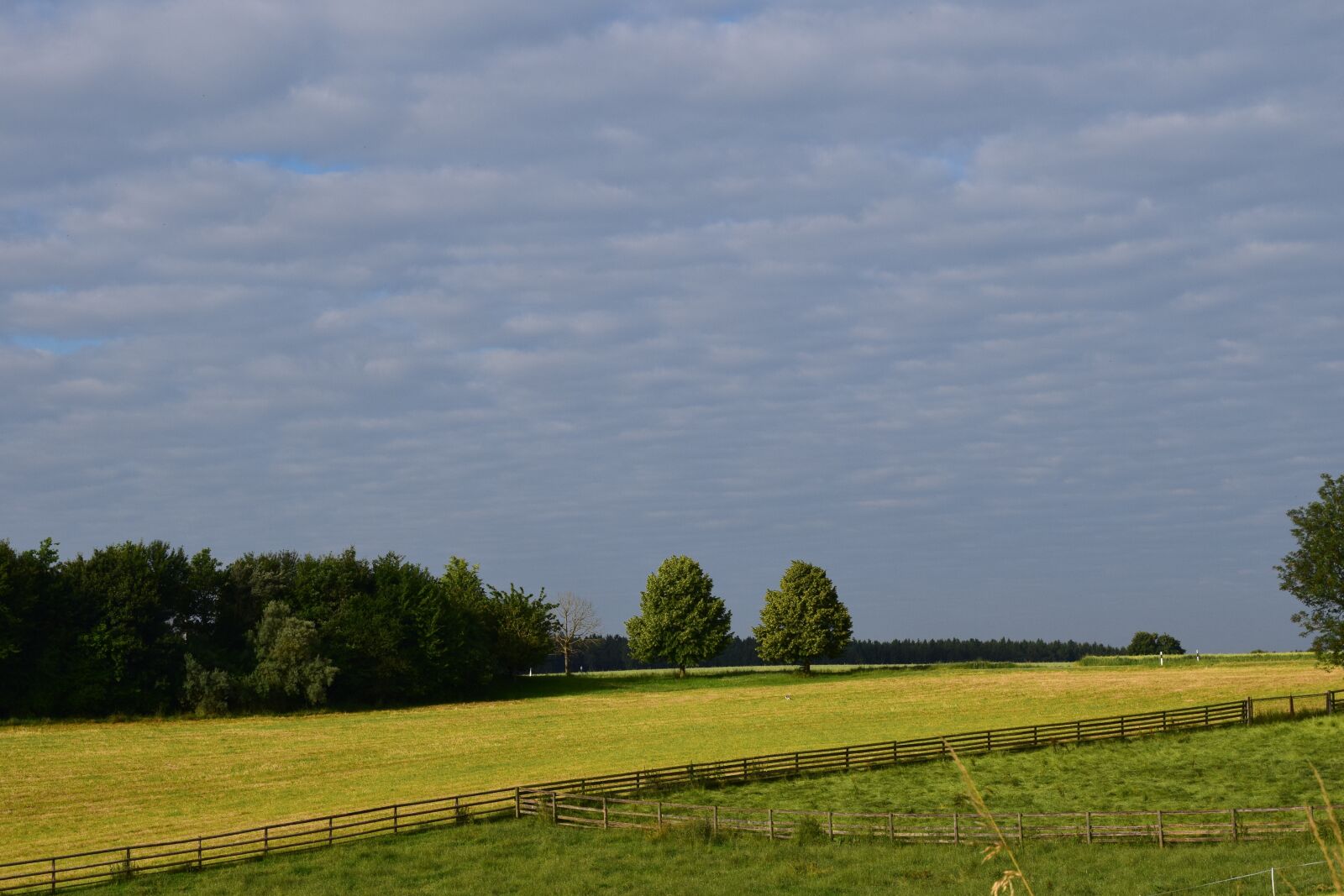 Nikon D3300 sample photo. Fields, corridors, agriculture photography