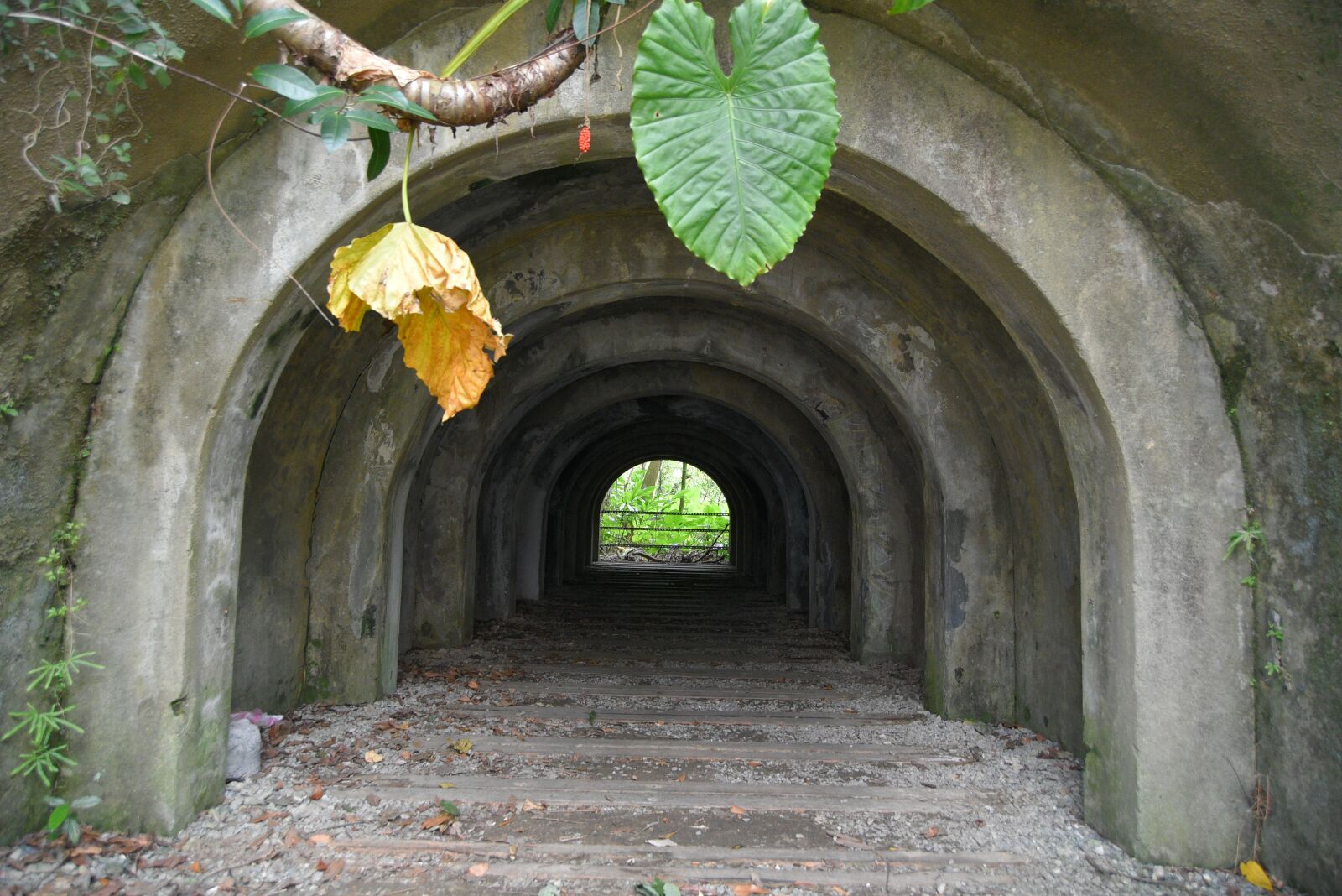 Nikon D750 sample photo. The dugout, cave, the photography