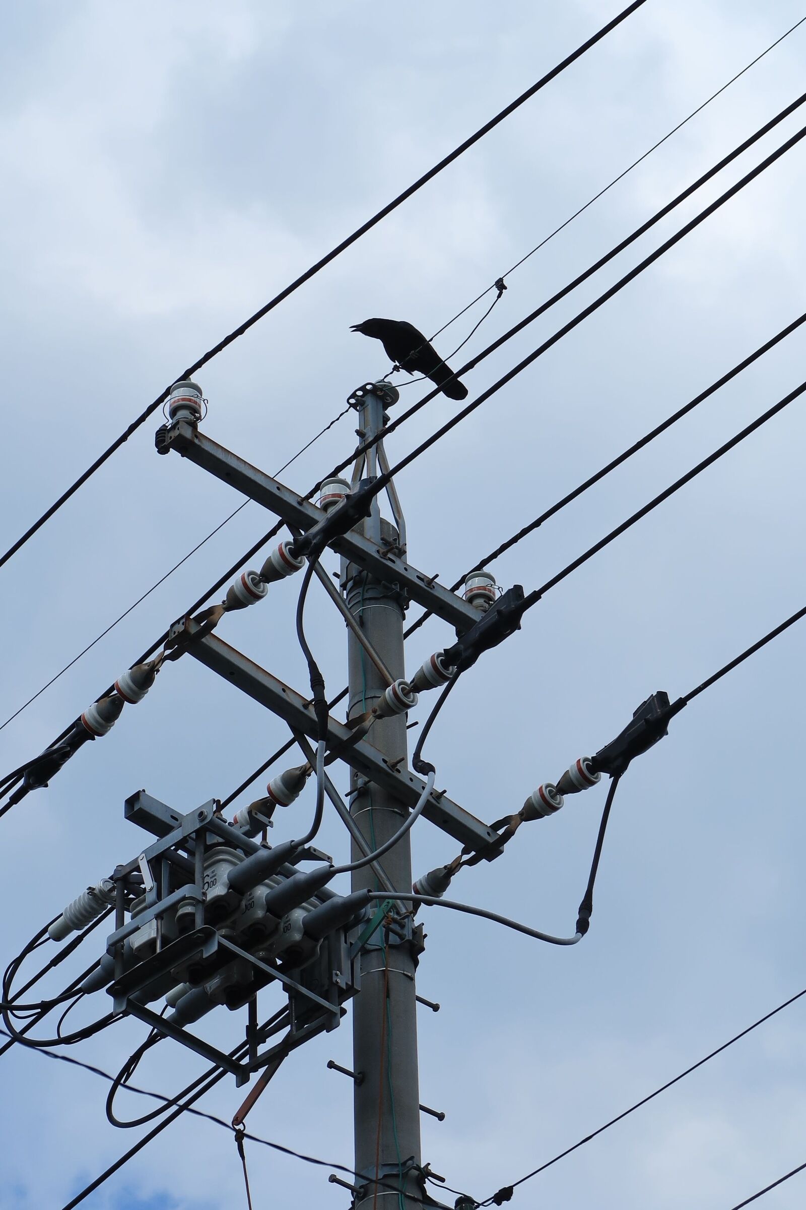 Canon PowerShot G7 X Mark II sample photo. Electrical, power, voltage photography