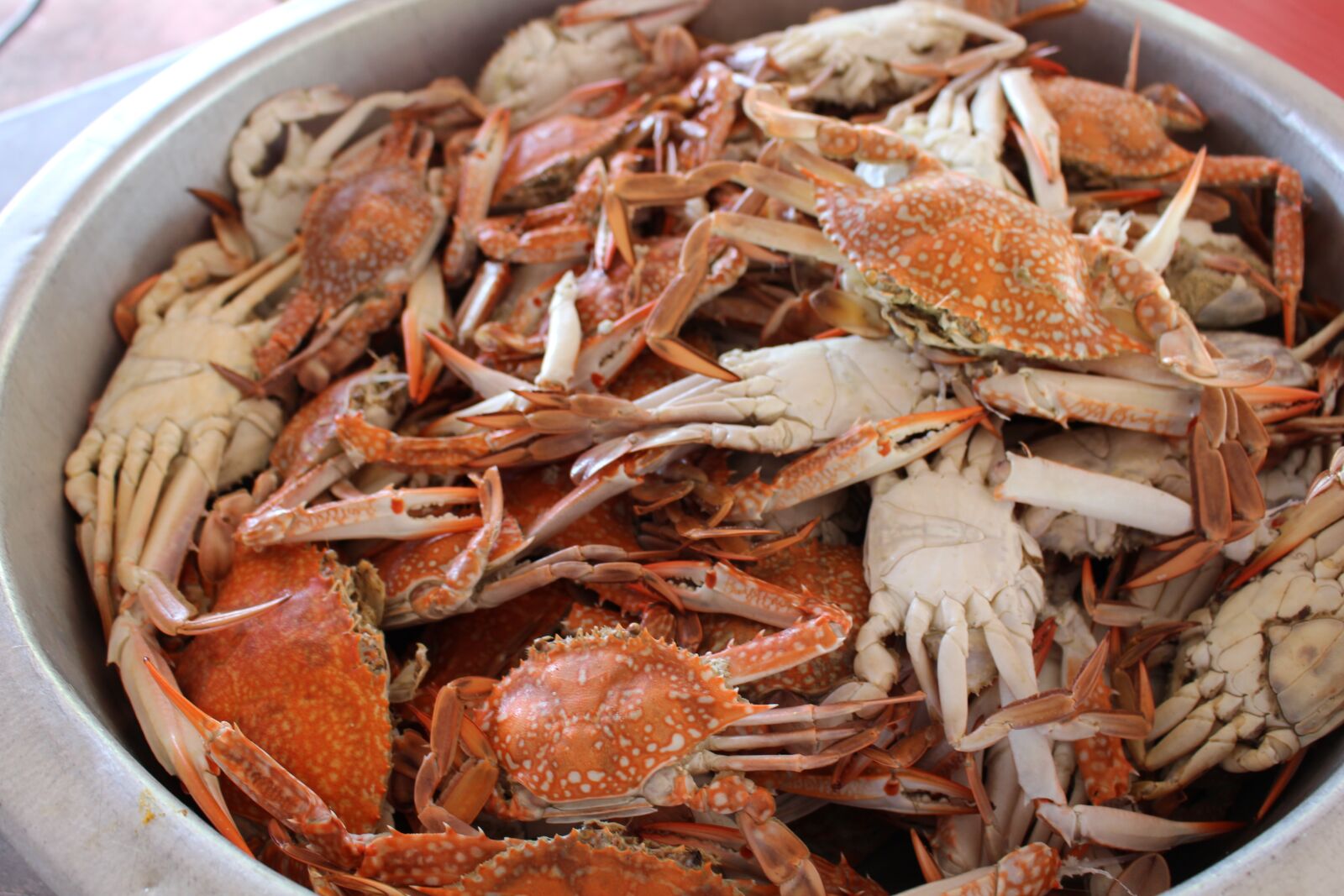 Canon EOS 700D (EOS Rebel T5i / EOS Kiss X7i) sample photo. Crab, food, dinner photography