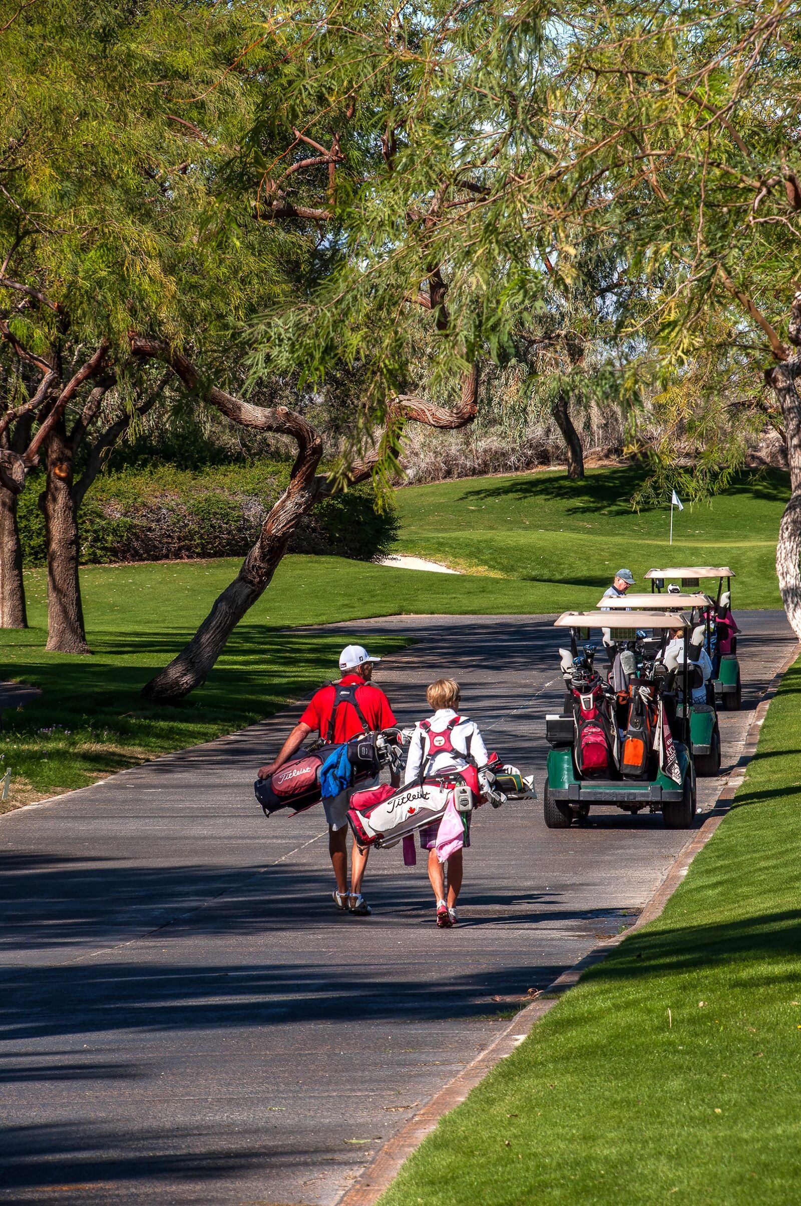 Nikon D5000 sample photo. Golfers, golf carts, pathway photography
