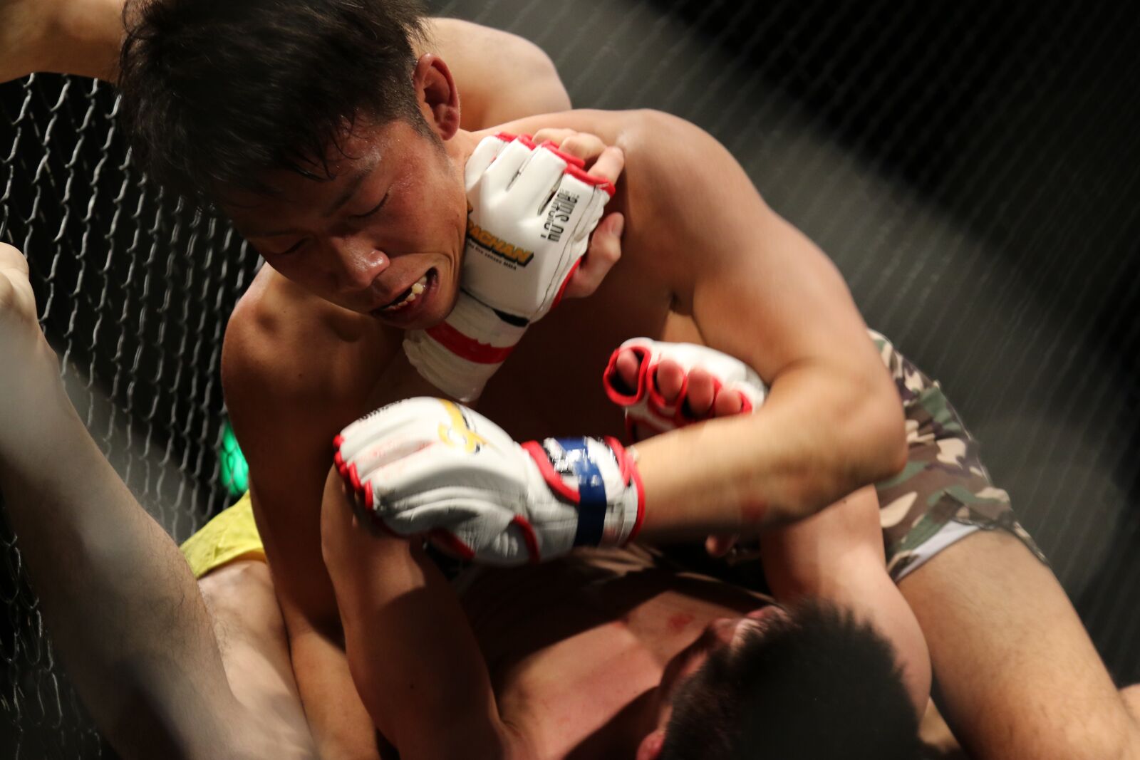 Canon EOS 7D Mark II sample photo. Mma, grachan, mixed martial photography