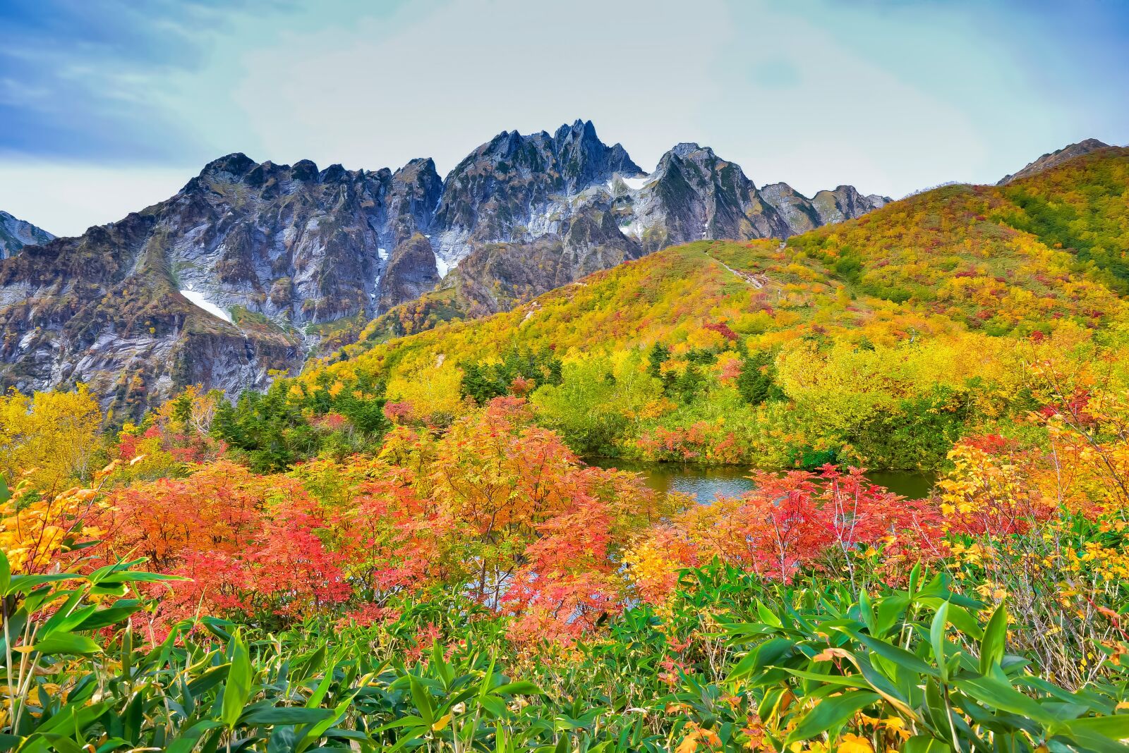 Nikon D800E sample photo. Mountainous landscape, autumnal leaves, 剣岳 photography