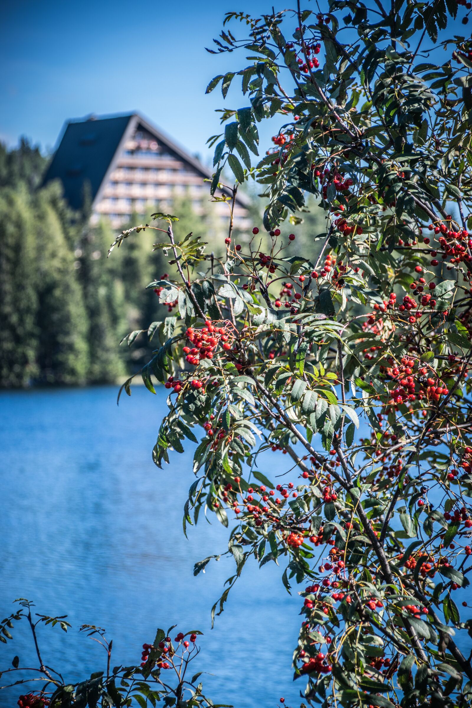 Nikon D5300 sample photo. Autumn, lake, nature photography