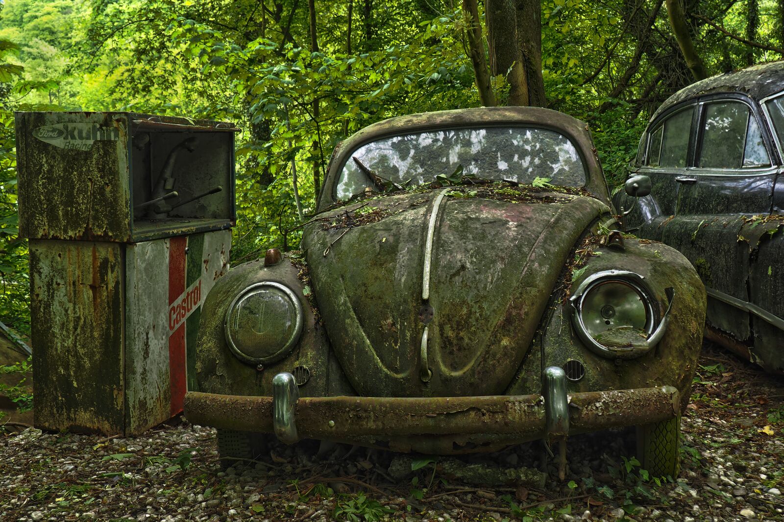 Olympus OM-D E-M10 sample photo. Auto, car cemetery, oldtimer photography