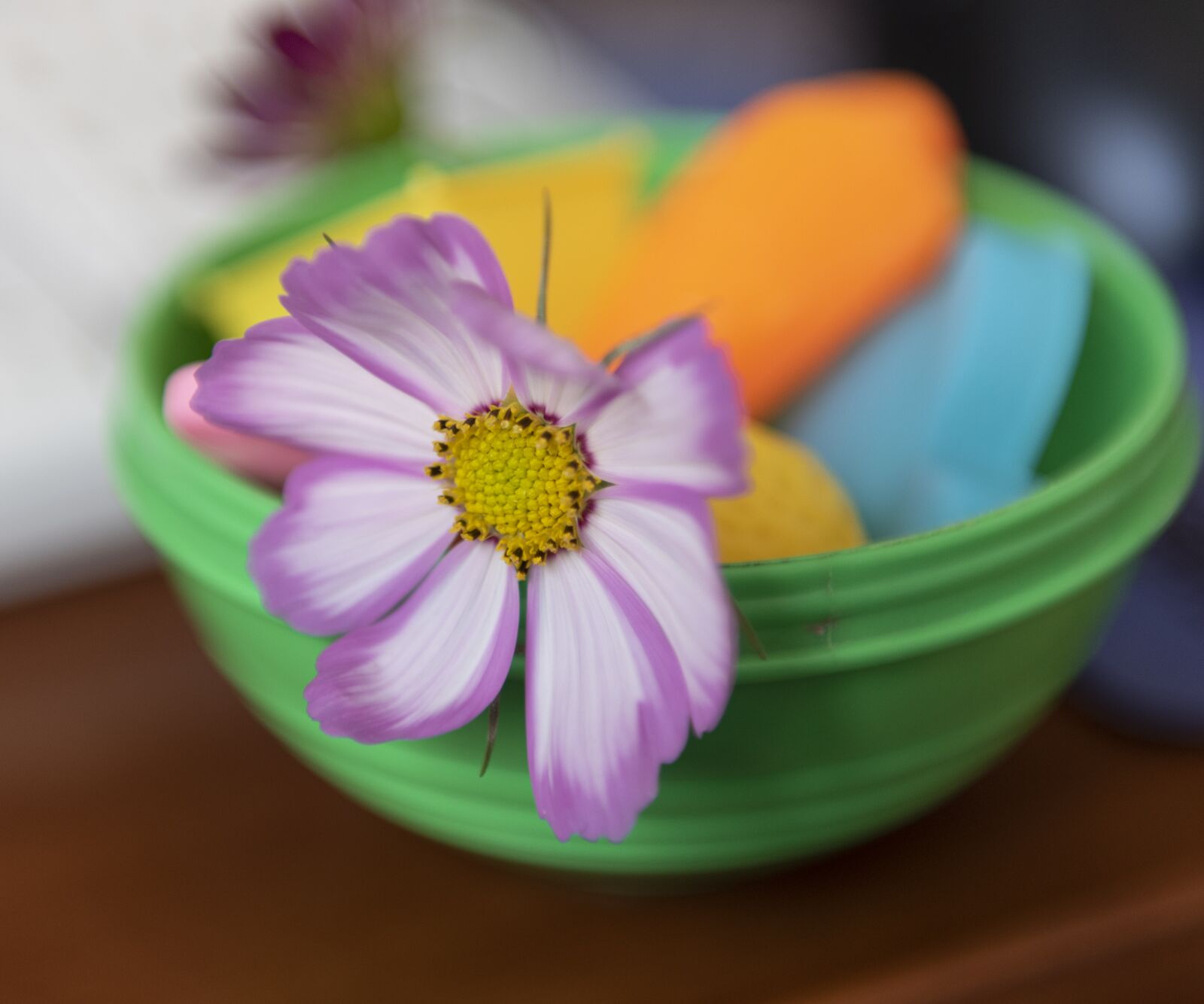 Nikon D750 sample photo. Flowers, petal, flower photography