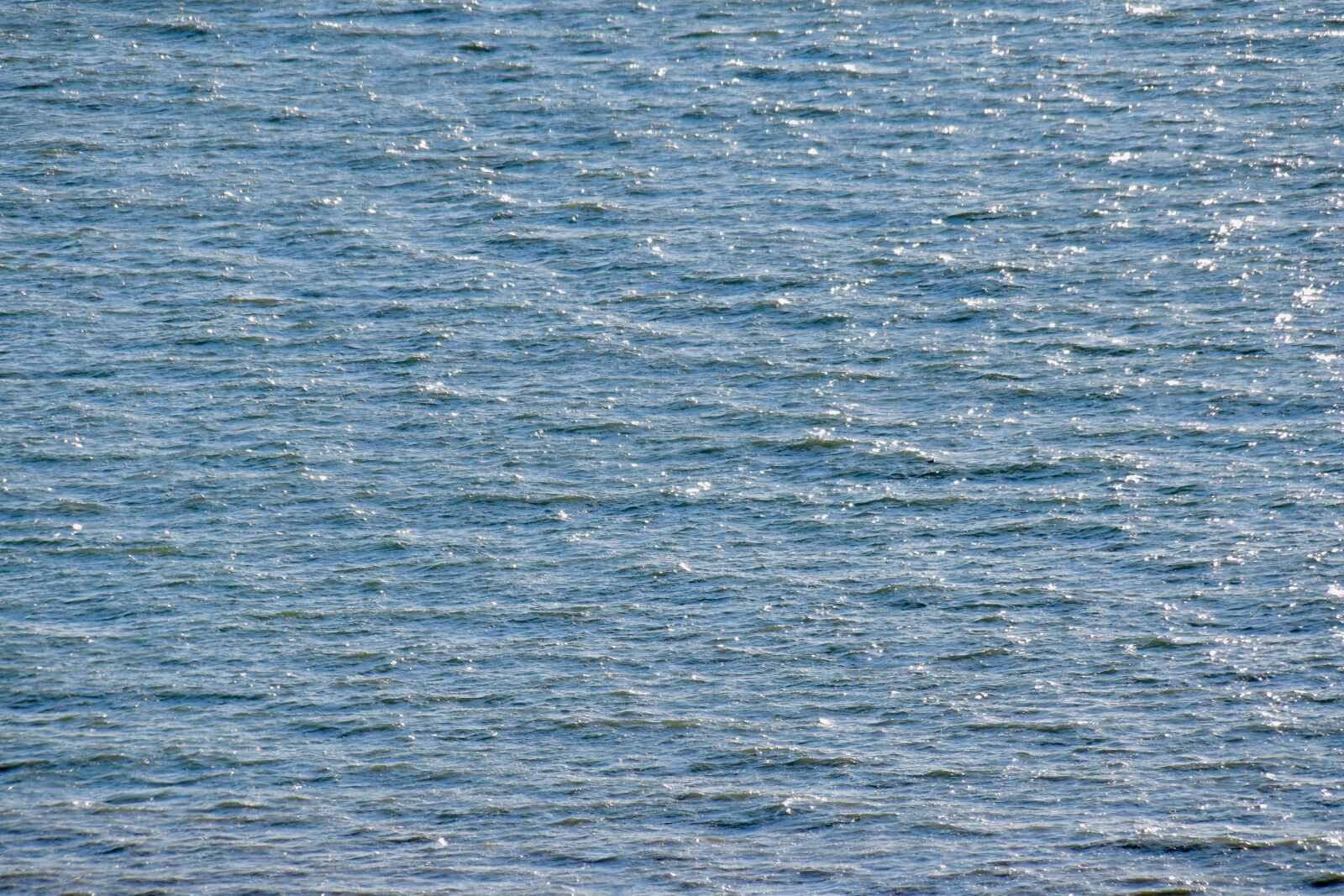 Nikon D5600 sample photo. Water, sea, large expanse photography