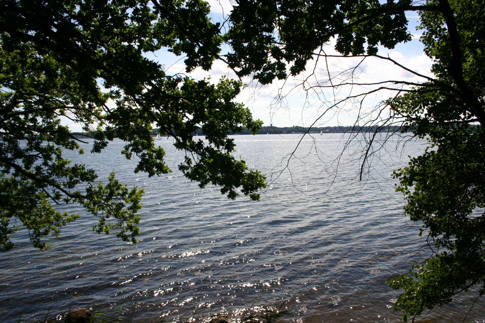 Canon EOS 300D (EOS Digital Rebel / EOS Kiss Digital) sample photo. Water, lake, sea photography