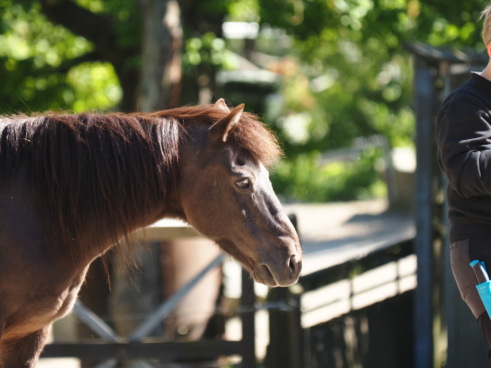 Olympus OM-D E-M1X sample photo